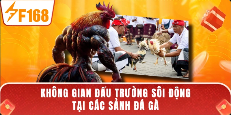Không gian đấu trường sôi động tại các sảnh đá gà